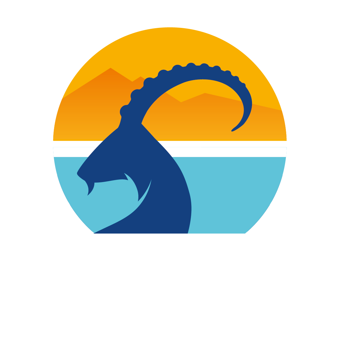 עין גדי